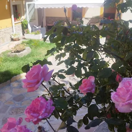 7 Pinos De Gredos Nyaraló Navarredonda de Gredos