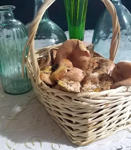 Feriehus 7 Pinos De Gredos Navarredonda de Gredos