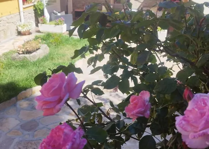 7 Pinos De Gredos Feriehus Navarredonda de Gredos