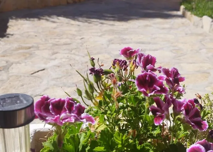 Feriehus 7 Pinos De Gredos *